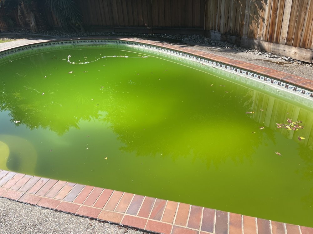 Photo of Pool Time