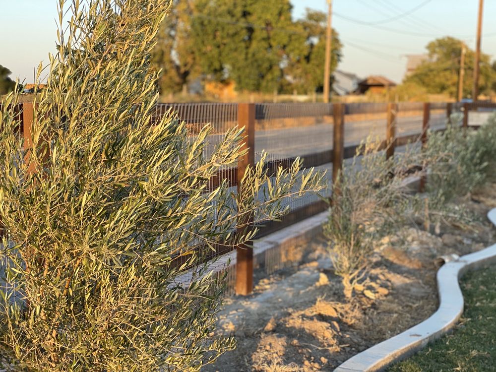 Photo of Town and Country Fence