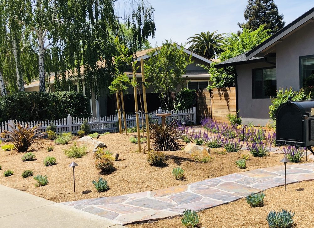 Photo of Simply Perfect Gardens