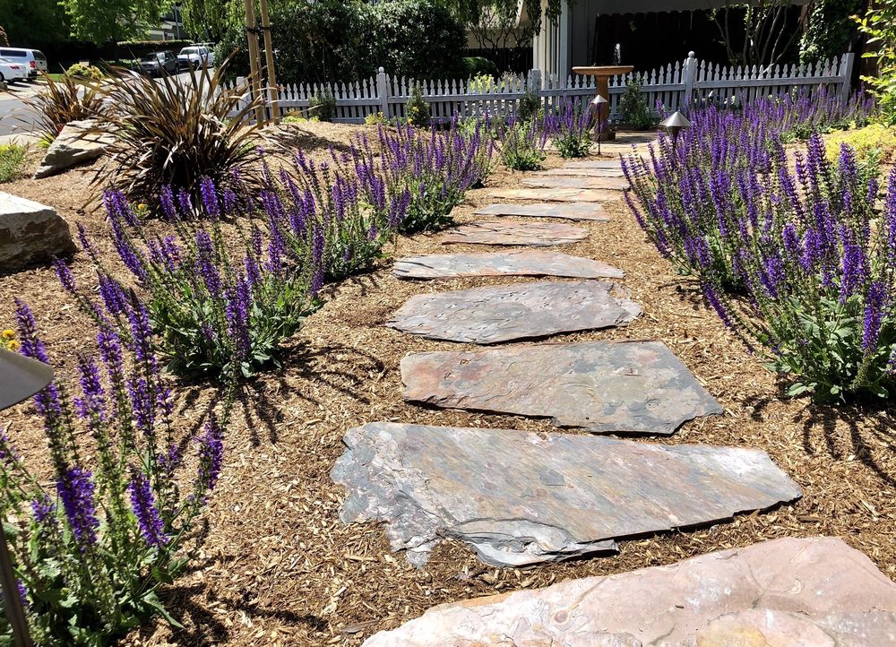 Photo of Simply Perfect Gardens