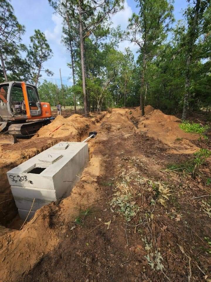 Photo of Overgrown Land Management