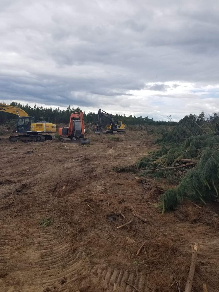Photo of Overgrown Land Management