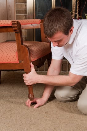 Photo of JKT Professional Carpet and Window Cleaning