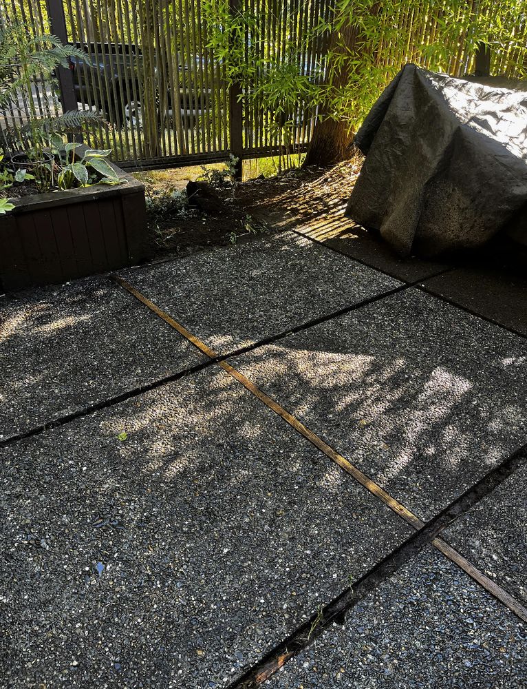 Photo of Busy Bee Power Washing