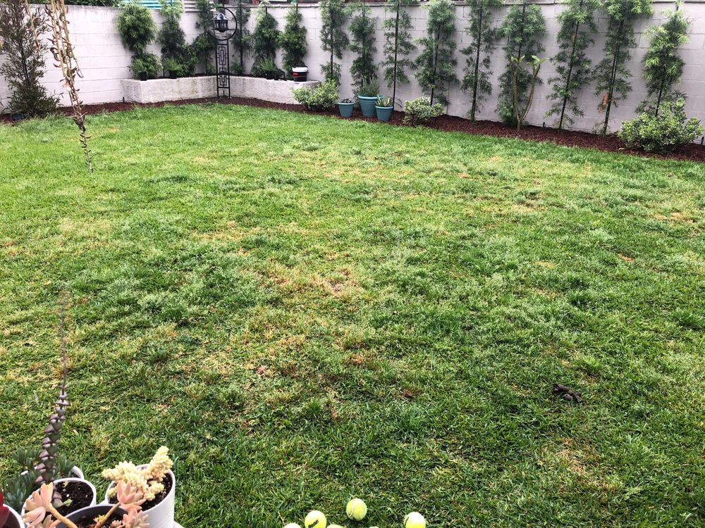 Photo of Armandos Gardening Service