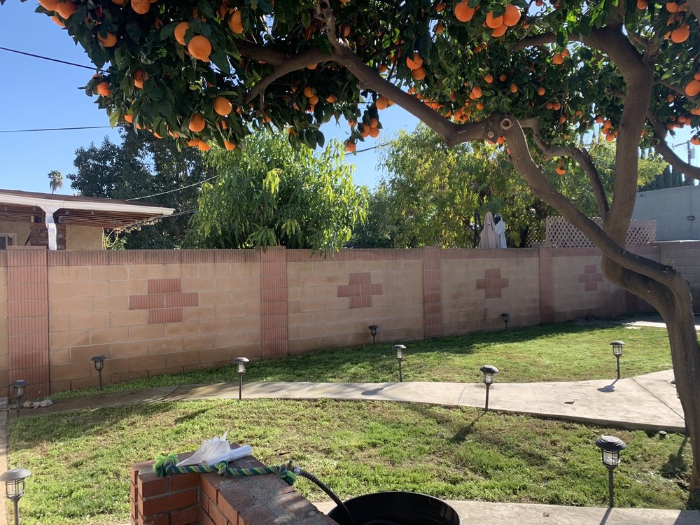 Photo of Armandos Gardening Service