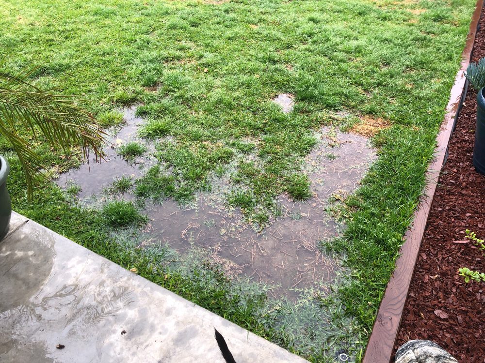 Photo of Armandos Gardening Service