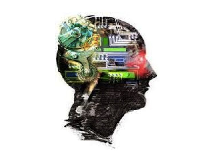 Photo of Felix Web Design