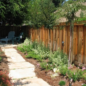 Photo of Columbine Landscaping