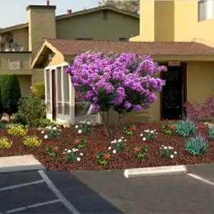 Photo of ATR Landscape