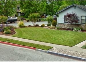 Photo of ATR Landscape