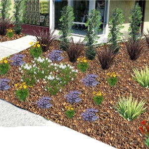 Photo of ATR Landscape