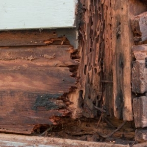 Photo of Vertex Roofing