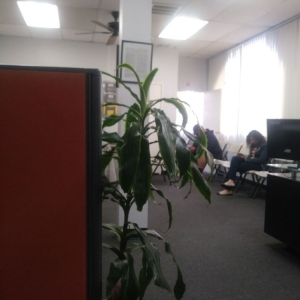 Photo of Best Tax Services