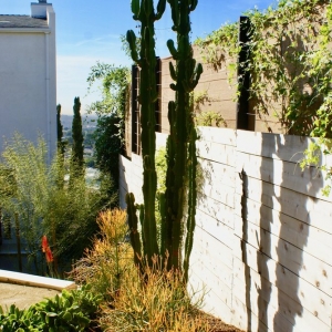 Photo of Deanna Foster Landscape Design
