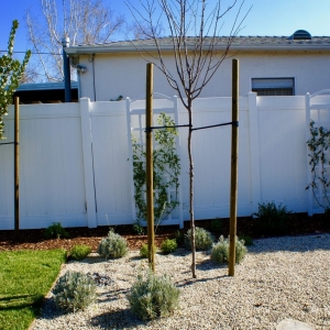 Photo of Deanna Foster Landscape Design