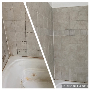 Photo of Start Fresh Cleaning Services