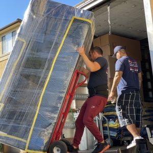 Photo of Vector Moving and Storage