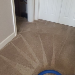 Photo of JJ Carpet Cleaning Solutions