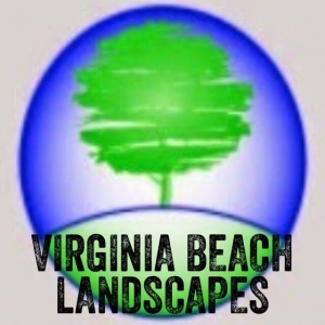 Virginia Beach Virginia Beach Landscapes