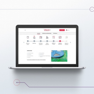 Photo of The Molo Group | Web Design & Digital Marketing
