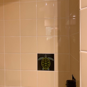 Photo of Malin Tile & Flooring