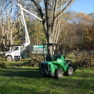 Photo of ADP Land Design and Tree Service