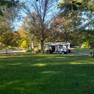 Photo of ADP Land Design and Tree Service
