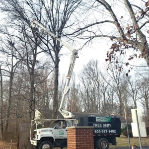 Photo of ADP Land Design and Tree Service