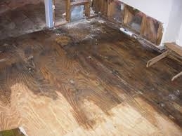 Photo of America's Best Carpet Care