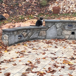 Photo of Potomac Masonry and Hardscape Pros