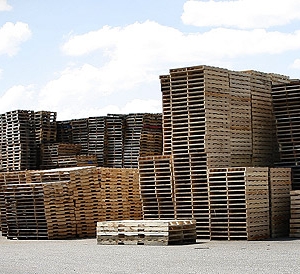 Photo of Kamps Pallets