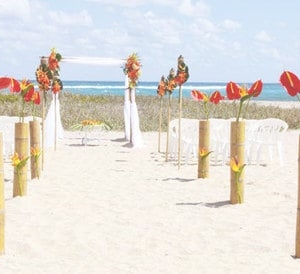 Photo of A Seaside Wedding