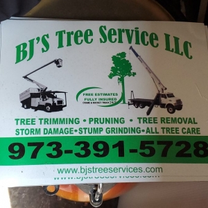 Photo of BJS Tree Service