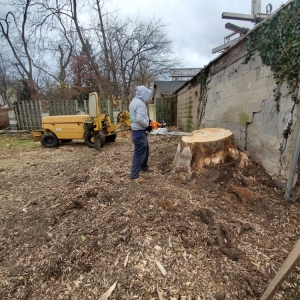 Photo of BJS Tree Service