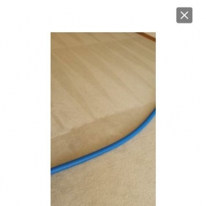 Photo of American Carpet Cleaners