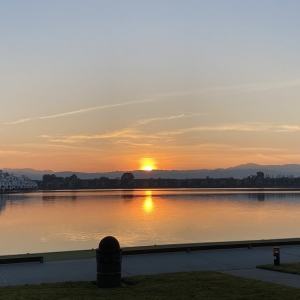 Foster City The Vibe