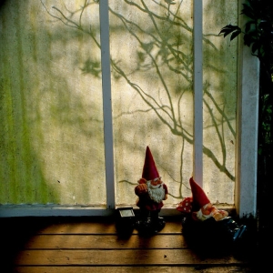 Photo of Tidy Gnomes