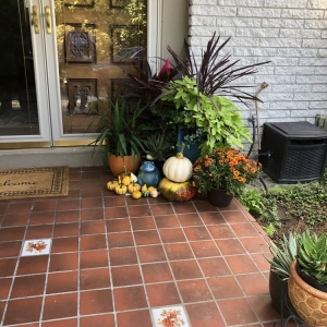 Photo of Settle Down Philadelphia