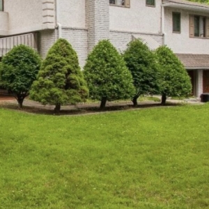 Photo of Settle Down Philadelphia