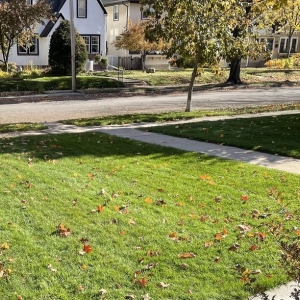 Photo of Parkway Lawn Service Inc