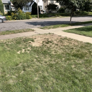 Photo of Parkway Lawn Service Inc