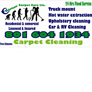 Photo of Evolution Carpet Care