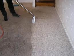 Photo of Evolution Carpet Care