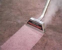 Photo of Evolution Carpet Care