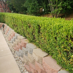 Photo of Stay Green and Clean Landscapers