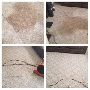Photo of IN&OUT Carpet Cleaning