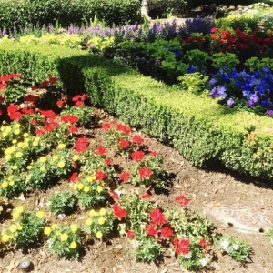 Photo of Houston Landscaping
