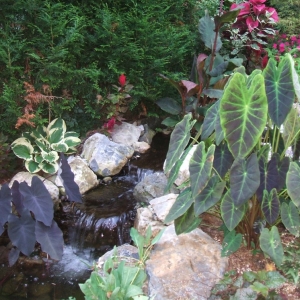 Photo of Limone Farm & Gardens