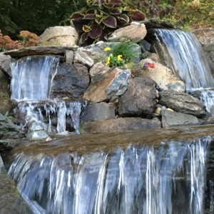Photo of Limone Farm & Gardens